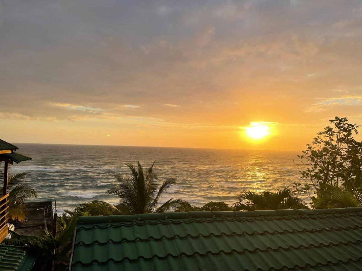 Villa Rasta - Ocean View Bungalows Port Antonio Eksteriør billede