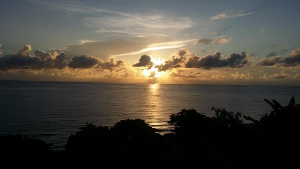 Villa Rasta - Ocean View Bungalows Port Antonio Eksteriør billede