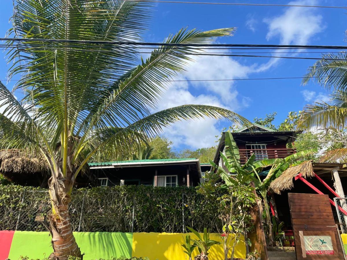 Villa Rasta - Ocean View Bungalows Port Antonio Eksteriør billede